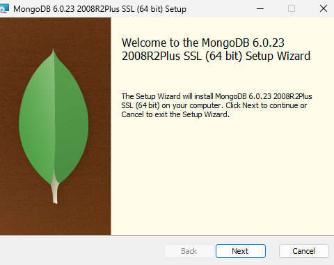 assets/08-车管服务/04-mongodb/IMG-20250510-160334-020.png
