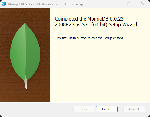 assets/08-车管服务/04-mongodb/IMG-20250510-174616-295.png